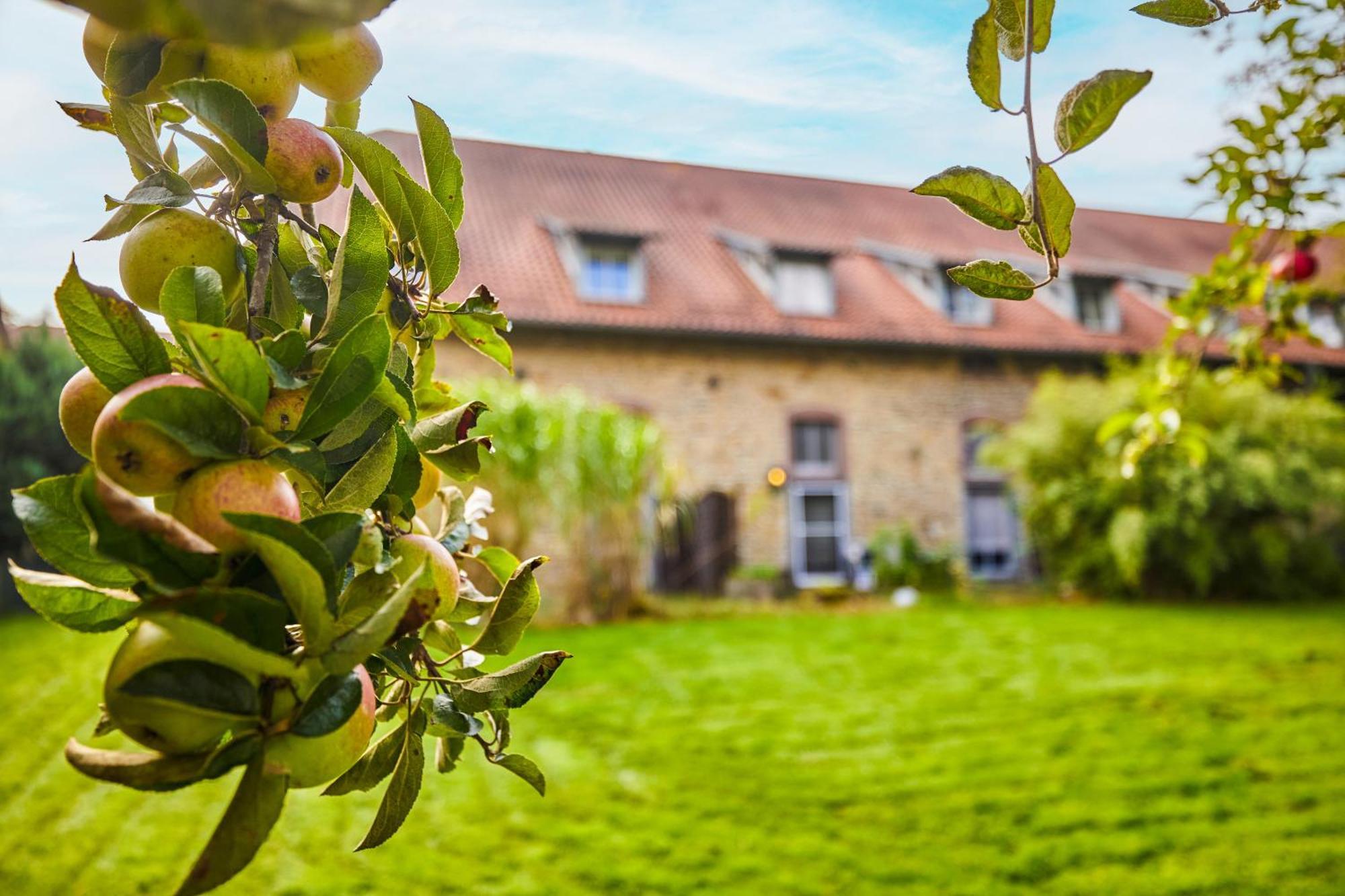 Landhaus Schieder Eksteriør bilde